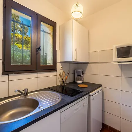 Lägenhet Les Mas De Pramousquier-12 By Interhome Le Lavandou